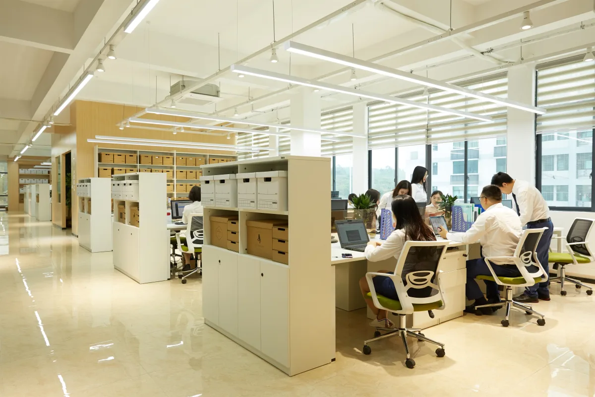 YOUREE research team working in the office